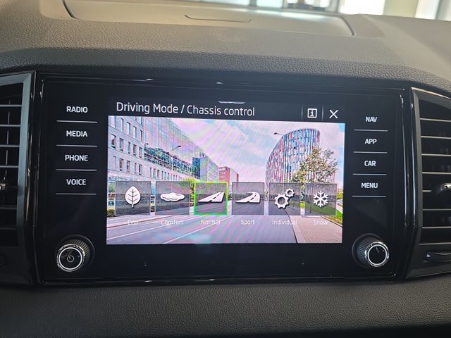 Karoq Sportline 2.0 TSI 4x4 DSG*PANO*AHK*