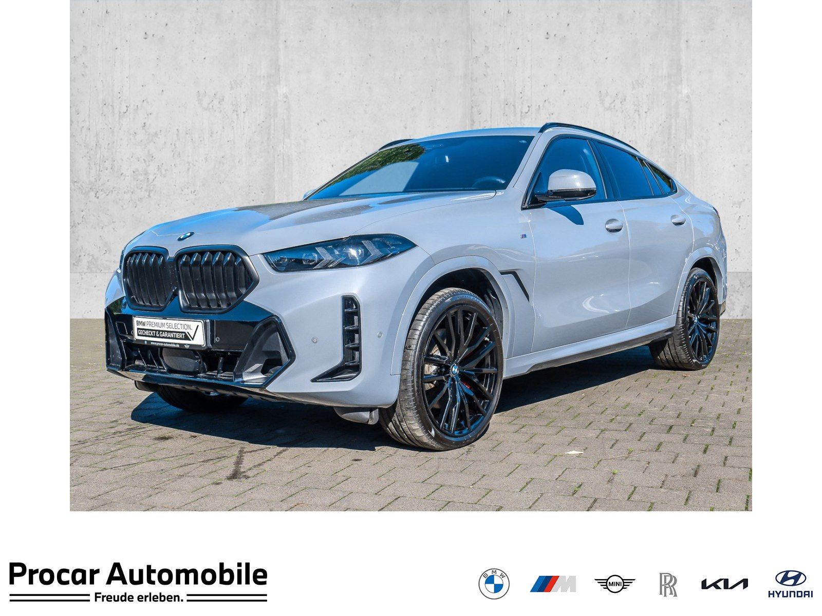 BMW X6 xDrive30d M Sport PANO ACC AHK RFK NAVI LED foto 1