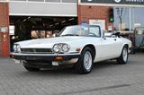 Jaguar XJS 5.3 V12 Cabrio *ORIGINAL*TRAUM OPTIK* - Jaguar XJS: V12