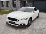 Ford EcoBoost Premium2.3L /Turbo/ Leder /Shaker Pro/ - Ford Mustang: Premium