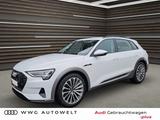 Audi e-tron 55 quattro advanced AHK Pano