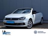Volkswagen Eos 2.0 TSI 211 PS DSG Exclusive "Black-Style" B - VW Eos Gebrauchtwagen