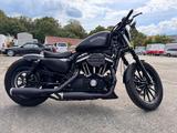 Harley-Davidson Sportster Iron 1200  - Angebote
