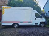 Fiat Ducato Verkaufsfahrzeug Bäckerei - Angebote entsprechen deinen Suchkriterien