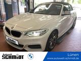 BMW M240i Cabrio Innovationsp. + GARANTIE - BMW M240i: 240