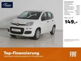 Fiat Panda 1.0 GSE Hybrid Pandina Icon - Fiat Panda Neuwagen mit Benzin-Antrieb