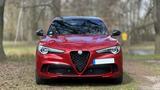 Alfa Romeo Stelvio Quadrifoglio 2.9 V6 Bi-Turbo (MY21) - Alfa Romeo Stelvio: Quadrifoglio