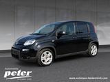 Fiat Panda 1.0 Mild Hybrid Base Klimaanlage