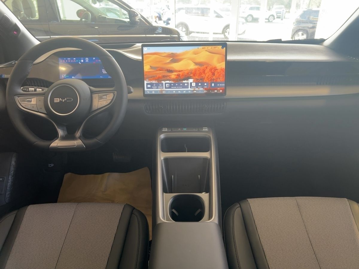 BYD DOLPHIN