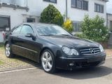 Mercedes-Benz CLK 500 5,5 V8 AVANTGARDE Avantgarde - Mercedes-Benz CLK 500: Coupé