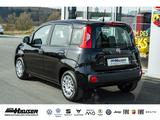 Fiat Pandina ICON Hybrid 1.0 GSE TEMPOMAT PDC LANE KL - Fiat Gebrauchtwagen