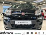 Fiat Pandina ICON 1.0 Klima PDC DAB USB teilb.Rücksb  - scheckheftgepflegte Fiat New Panda