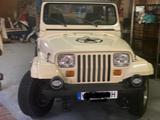Jeep Wrangler YJ 4,2L mit H-Zulassung - Jeep: Yj