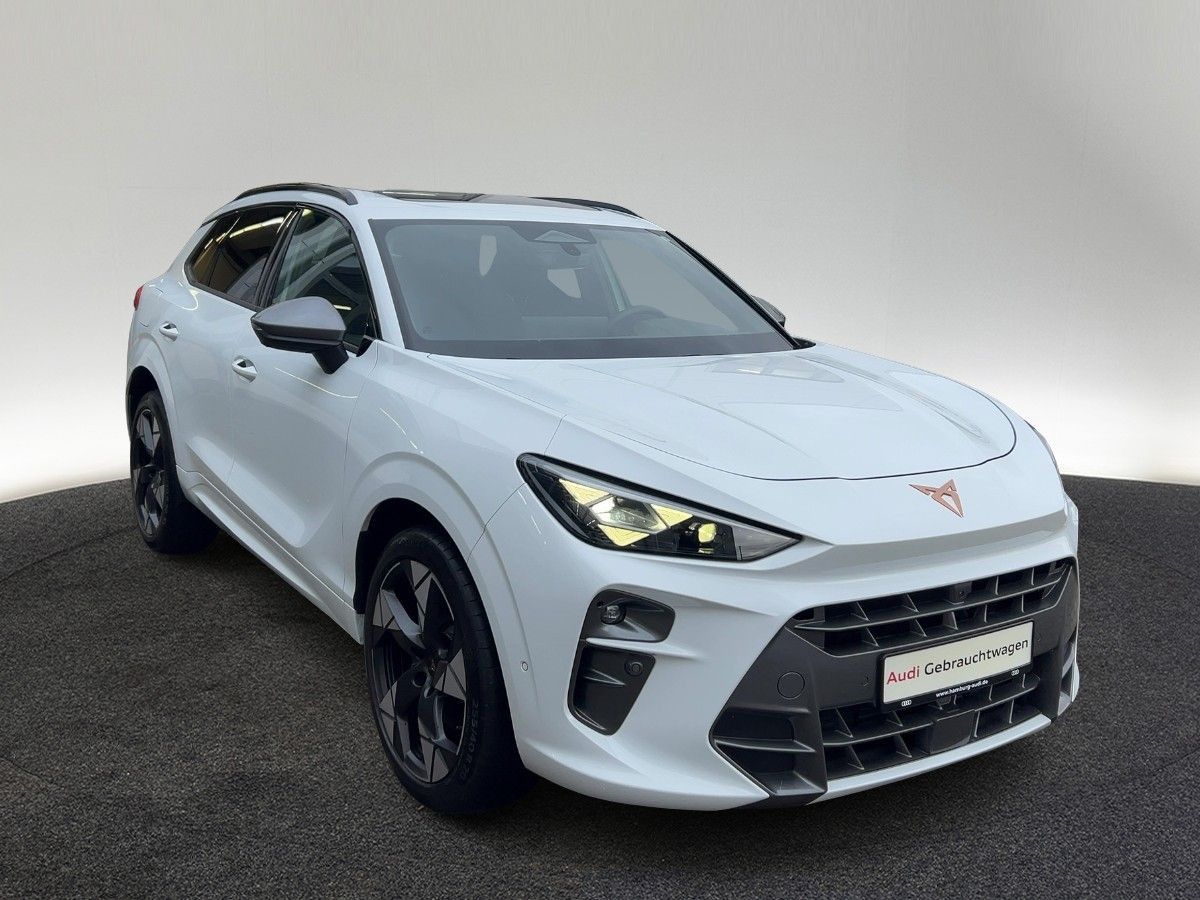 Cupra Terramar - Bild 5