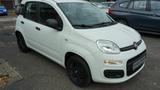 Fiat Panda Pop 1.2 Klima-Servo-Euro 6 Tüv neu - Fiat Panda: 1.2