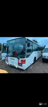 Mercedes-Benz O408,O407,O303,O350 - Mercedes-Benz O 303