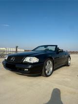 Mercedes-Benz SL 600 AMG Designo 1.Hand nur 22.700 Km! - Mercedes-Benz SL 600: AMG