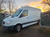 Mercedes-Benz Sprinter II Kasten 313 CDI AHK Hoch+ Lang - Mercedes-Benz Sprinter: Kasten