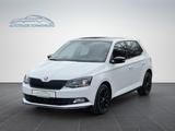 Skoda Fabia Monte Carlo*Panorama - Skoda: Monte Carlo