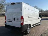 Fiat Ducato 35 Kastenwagen L3H2 - Fiat Ducato l3 h2
