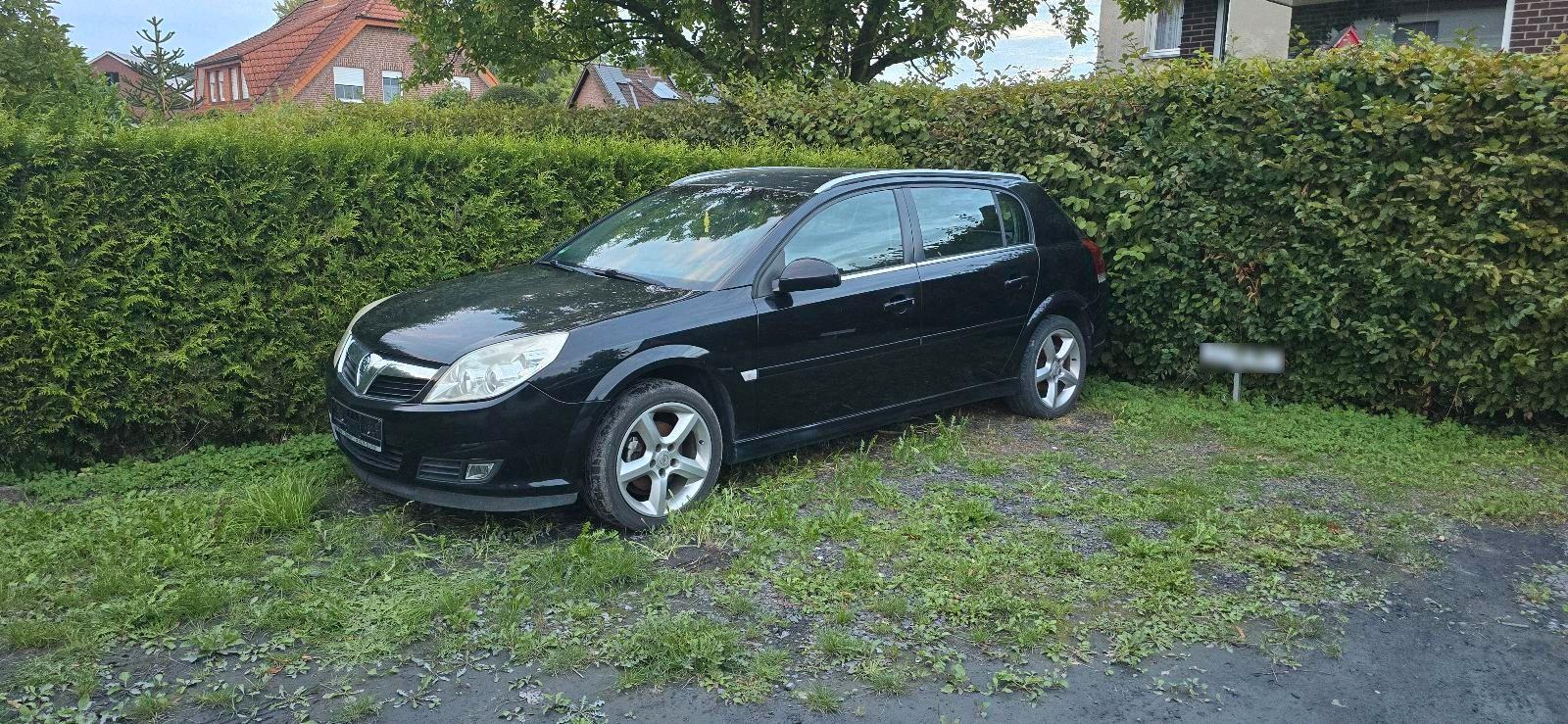Opel Signum 2007 — rear view