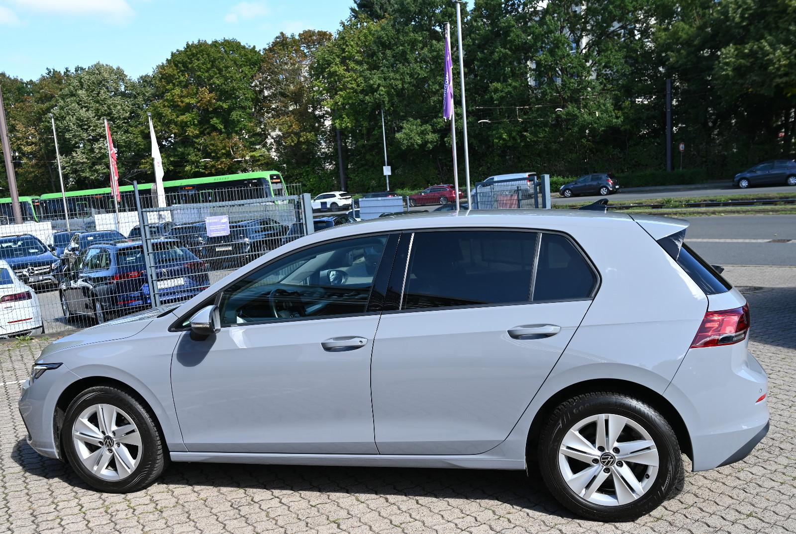 Volkswagen Golf VIII Lim. 1.5 TSI Life Navi LED PDC CarPlay, миниатюра 4