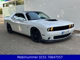 Dodge Challenger 6.4 V8 SRT SCAT PACK SHAKER AUTOMATIK - Dodge Challenger: V6