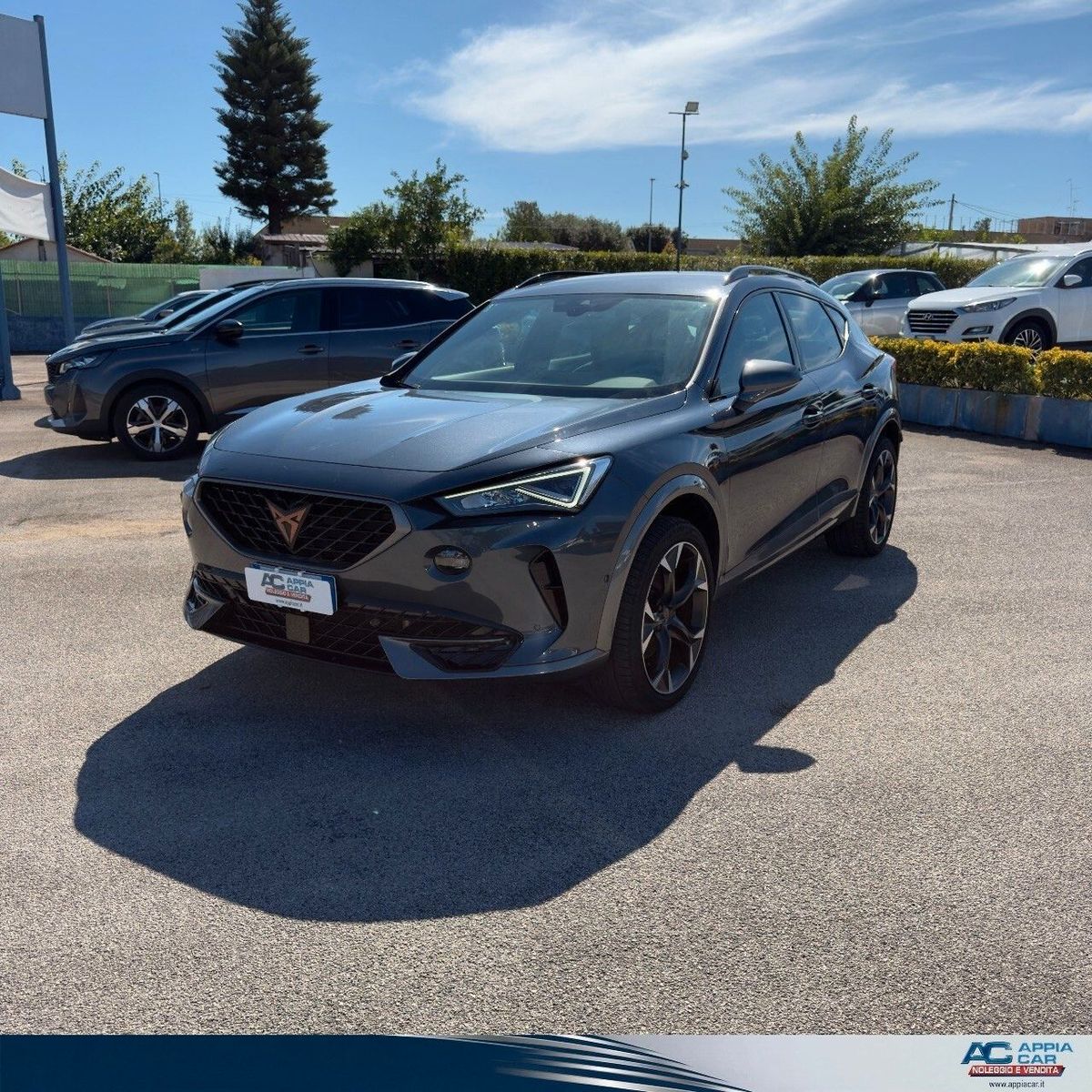 Cupra Formentor 2.0 TDI IN PROMO