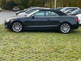 Audi A5 3.0 TDI (DPF) S tronic quattro Cabriolet - - Audi A5 aus 2009: Cabrio