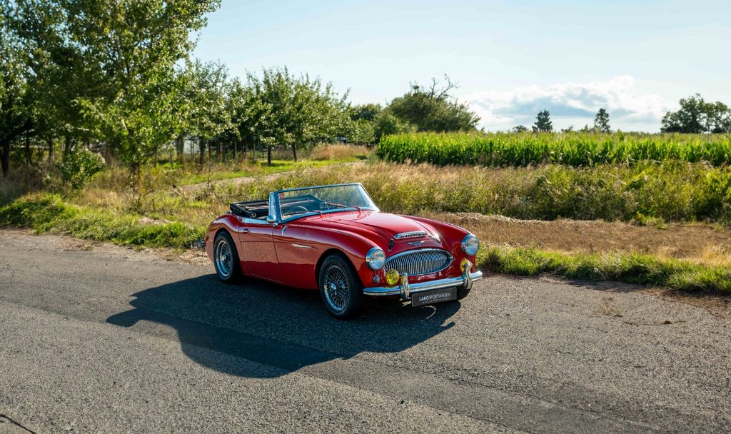 Austin Healey Andere