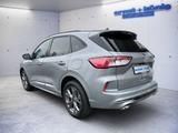 Ford Kuga 2.0 EcoBlue 4x4 Aut. ST-LINE - Ford Kuga mit Diesel-Antrieb: Allradantrieb, 2.0
