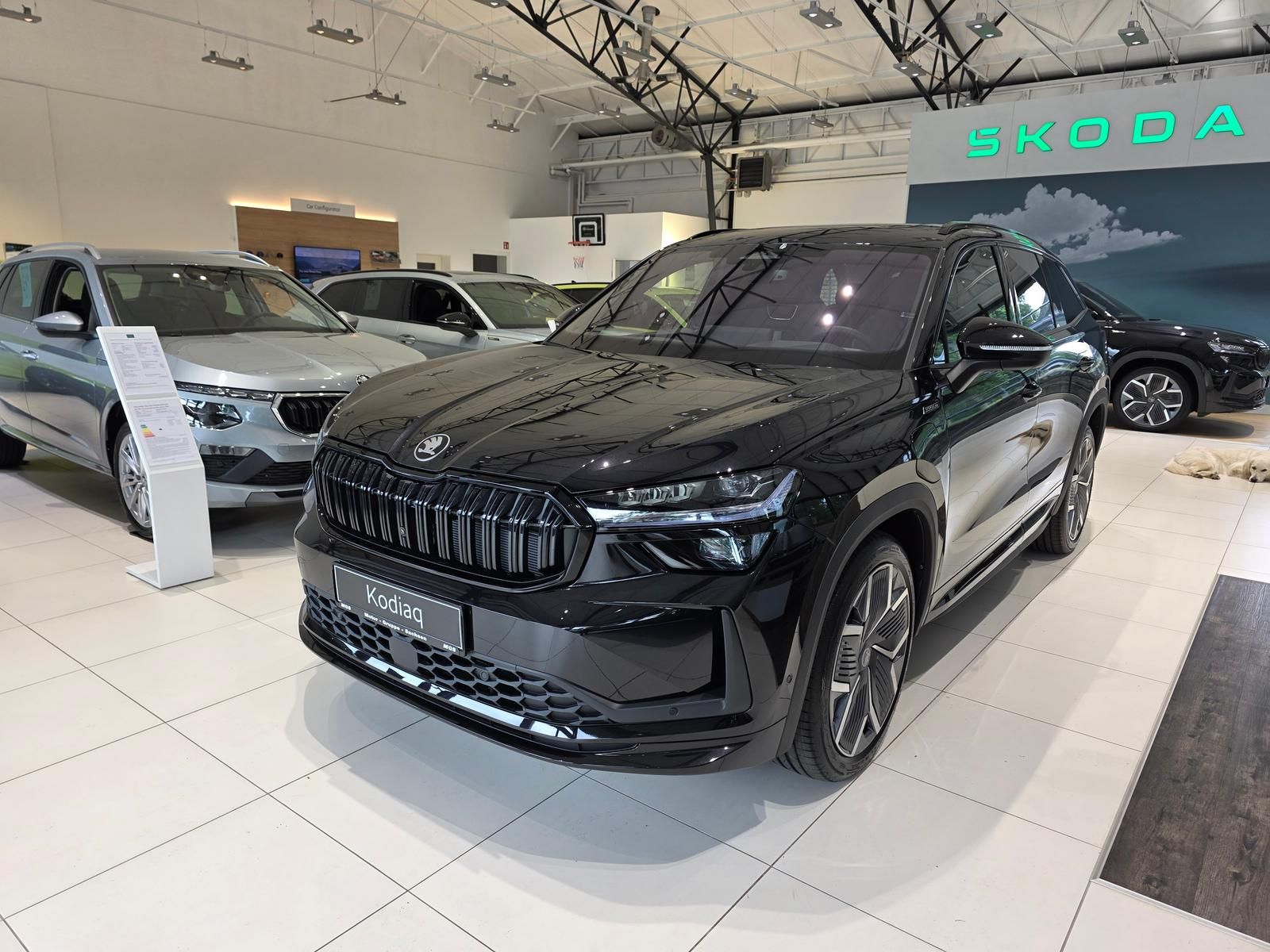 Skoda Kodiaq - Bild 2