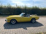 Triumph Spitfire Mk IV 1300 M.M.T.-Motor m. 4-fach-Weber - Triumph Spitfire: Mk4