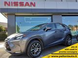 Lexus NX 300h HYBRID KM 47.000 CERTIFICATI GARAN - Lexus aus 2015