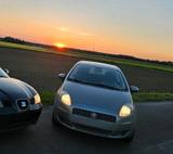 Fiat Treuer Fiat Punto sucht neuen Besitzer - gebrauchte Fiat Punto aus dem Jahr 2009