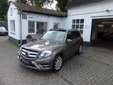 Mercedes-Benz GLK 350 CDI, 1. Hd., Designo, Pano: - Mercedes-Benz GLK 350 Gebrauchtwagen