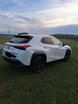 Lexus UX 250h Amazing Edition Amazing Edition - gebrauchte Lexus Pickups