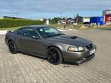 Ford Mustang SN95 V8 Schalter Tüv neu 89ml... - Ford aus 2001