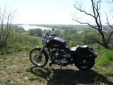 Harley-Davidson Sportster XL1200 C - Offers