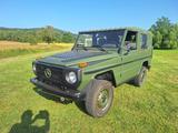 Mercedes-Benz GD 250 Wolf - Mercedes-Benz G 250: Wolf