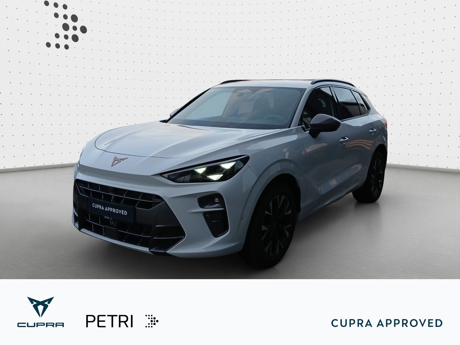 Cupra Terramar - Bild 1