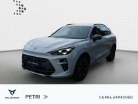 Cupra Terramar - Vorschau Bild 1