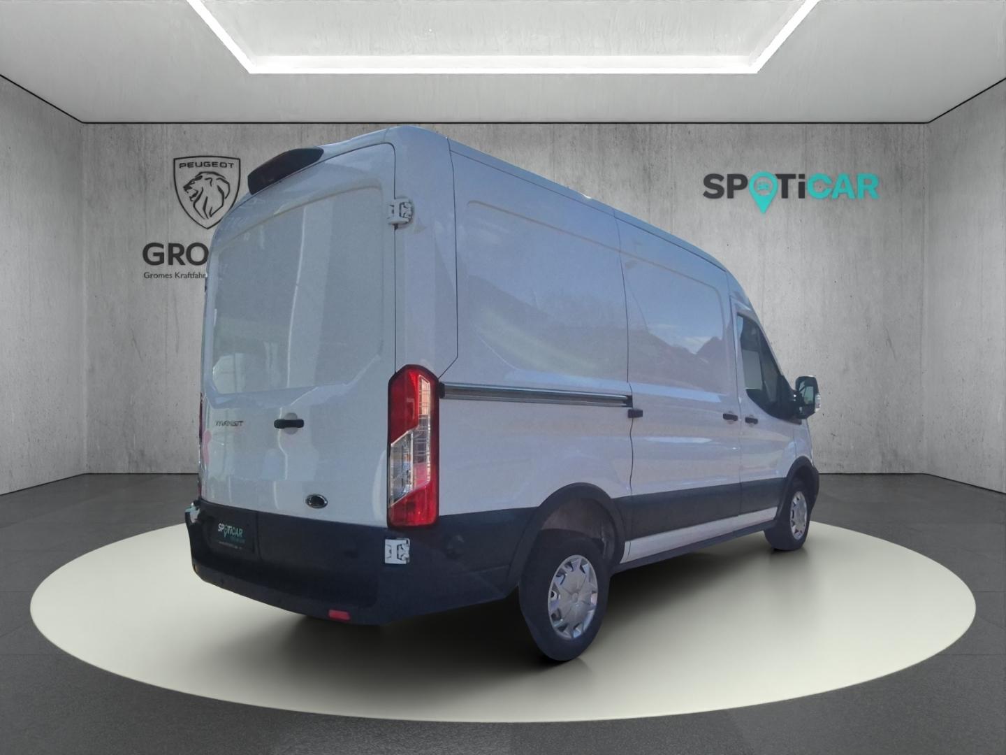 Ford Transit Kasten L2 290 L2H2 VA Trend 77 DAB Spurh