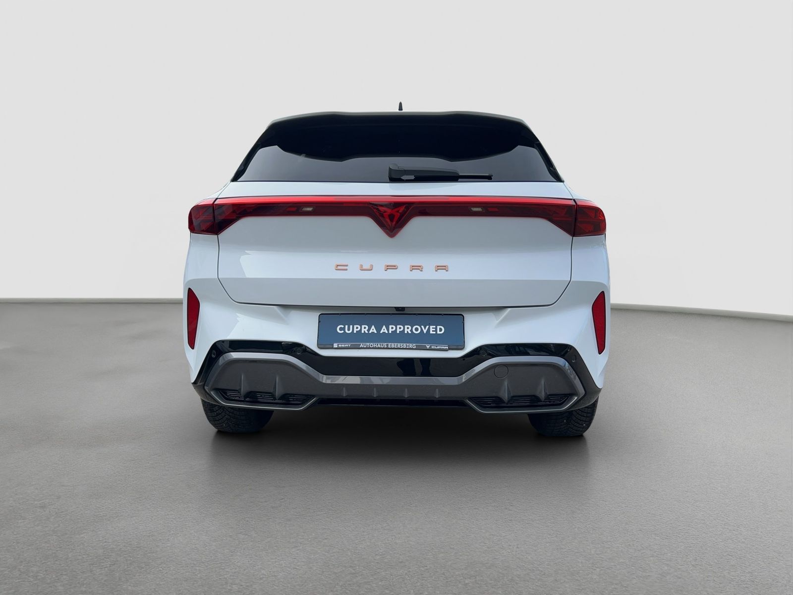 Cupra Terramar - Bild 6