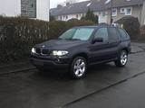 BMW E53 X5 3.0D AHK Klima DPF Sitzh PDC Xe... - BMW X5 E53 mit Diesel-Antrieb