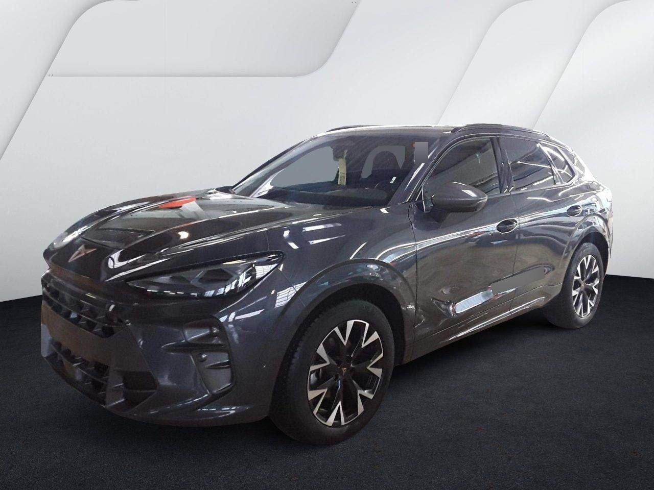 Cupra Terramar - Bild 2