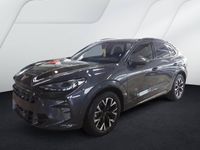 Cupra Terramar - Vorschau Bild 2