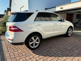 Mercedes-Benz ML250 Bluetec 4Matic - Mercedes-Benz ML 250 aus 2011
