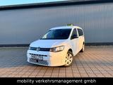Volkswagen Caddy Maxi DSG Weiß Rollstuhlumbau Taxi 7Sitzer - Volkswagen Caddy: Weiß