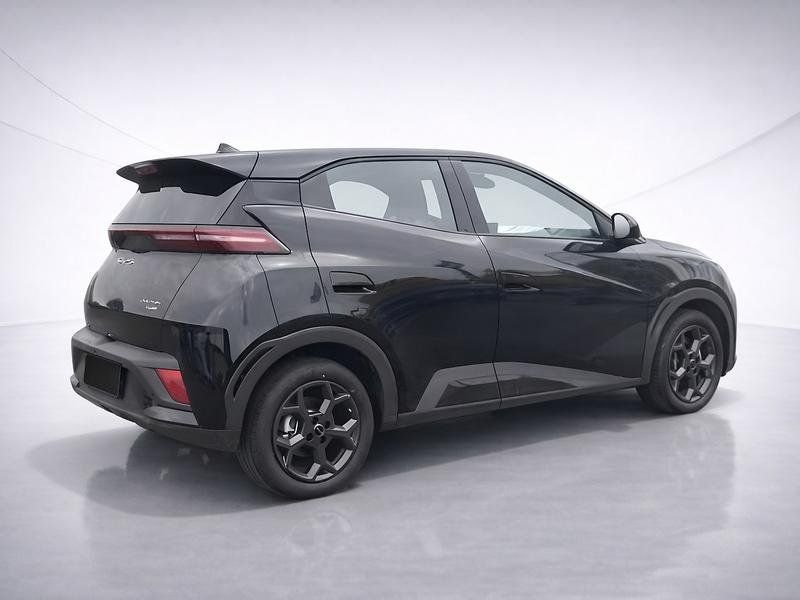 BYD DOLPHIN SURF